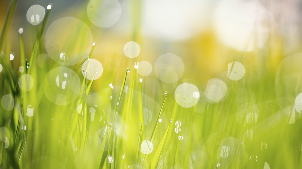 Platz 4 Christoph Lindau